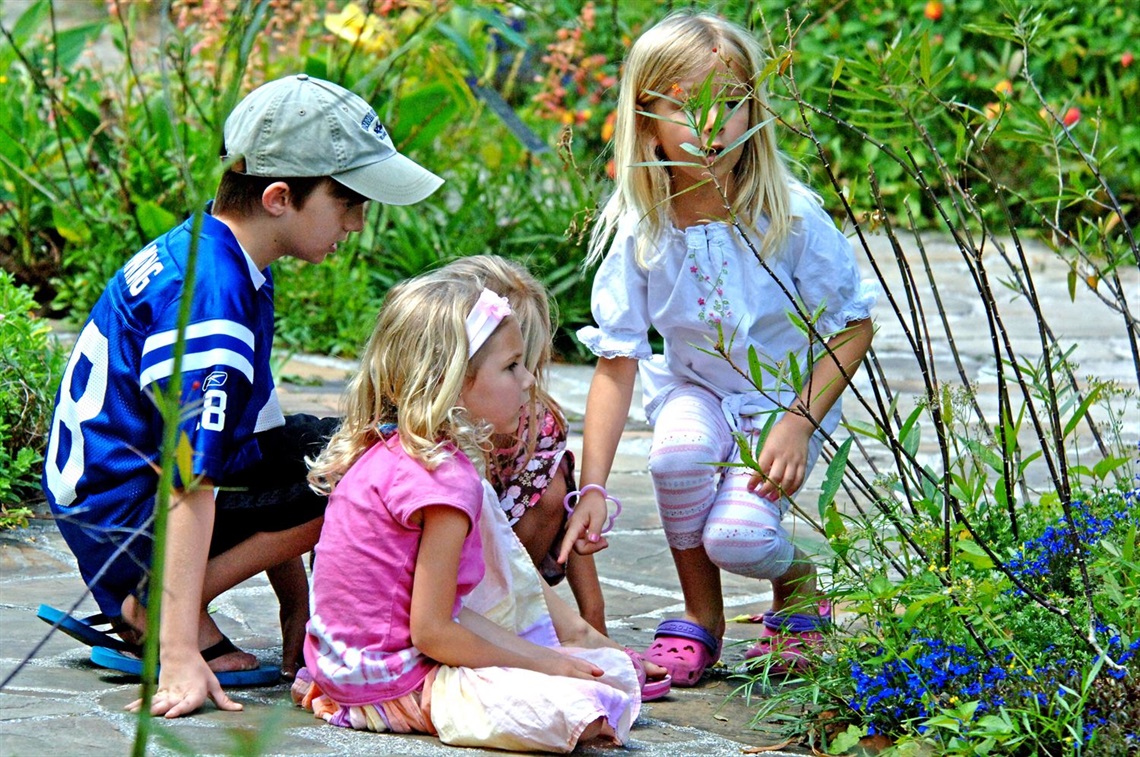 Children admiring the butterfly garden