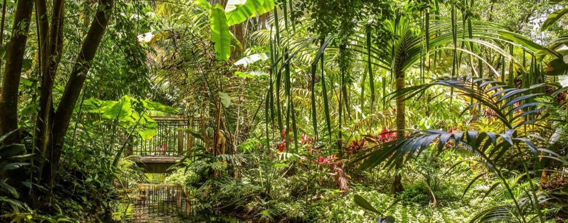 A stream flowing through a lush garden with a bridge in the distance