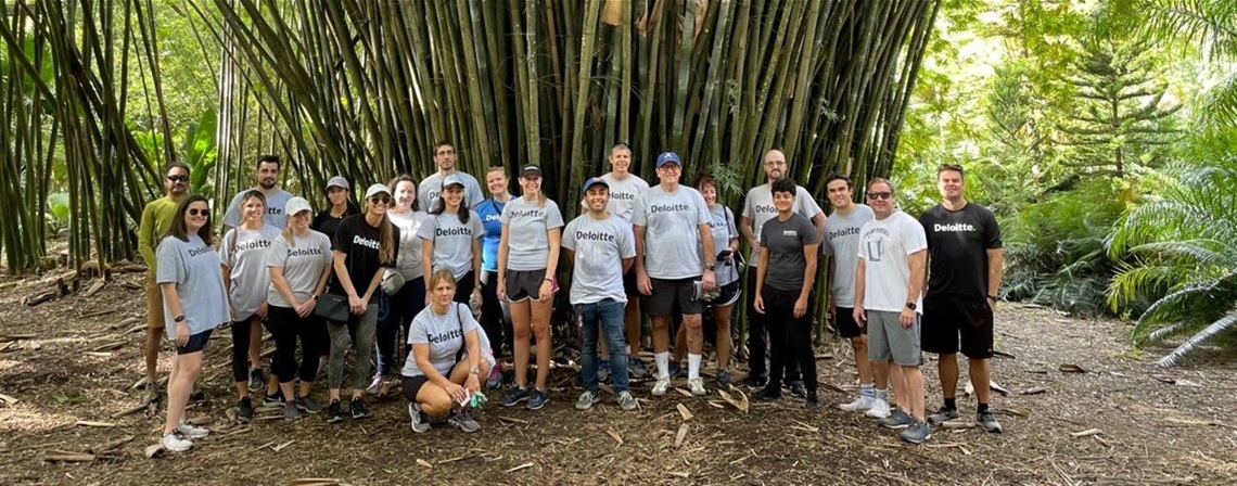 A group of volunteers standing in front of a large bamboo plant