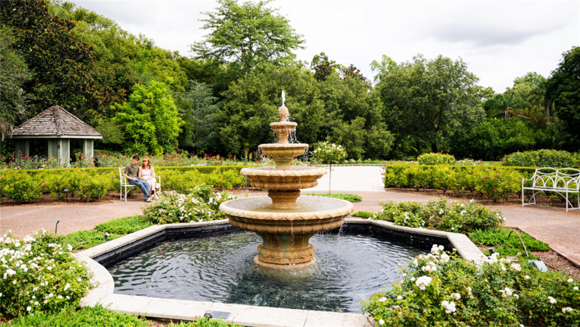 Rose Garden.png