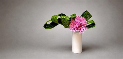 Pink flowers with green leaves in a white vase.