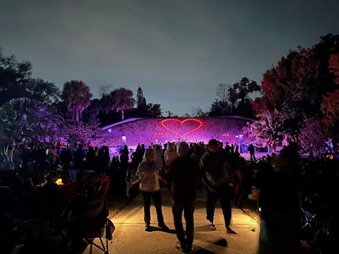 People gathered to listen to live music outside at Harry P. Leu Gardens. The lighting is yellow and pink.