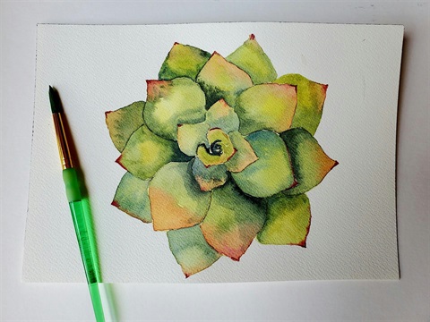 Watercolor painting of a green and yellow succulent.