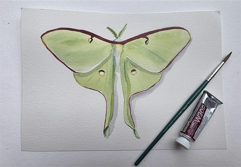 Luna moth painted on white watercolor paper, next to a paintbrush and tube of watercolor paint.