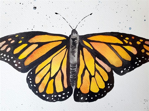 Watercolor painting of a monarch butterfly.