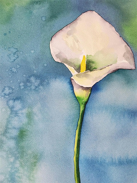 Watercolor painting of a calla lily.