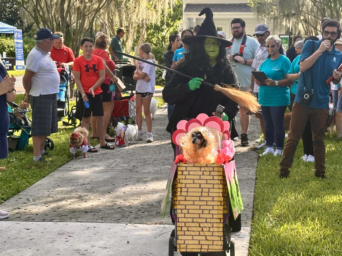 Patron dressed like a witch with her dog in a carrier for costume contest.