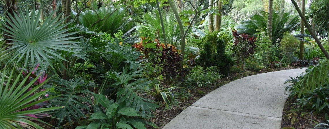 pathway background image.jpg