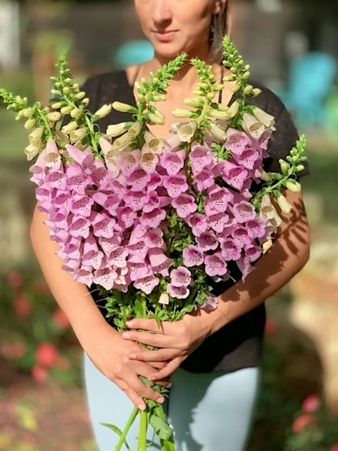A person holding a bundle of pink and green flowers.