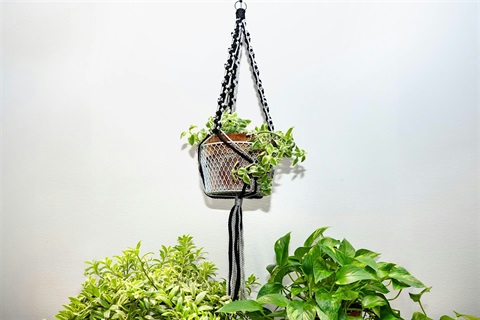 Black and white Macrame plant hanger. There is a plant in it, and plants below it.