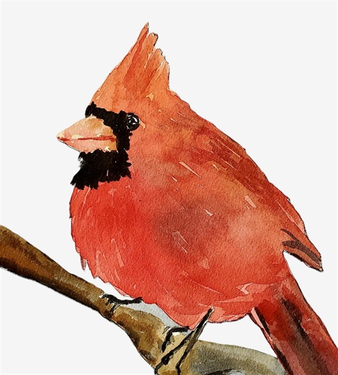 A watercolor painting of a red cardinal perched on a branch