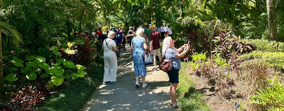 Guests walking on a path through a garden taking photos of the foliage