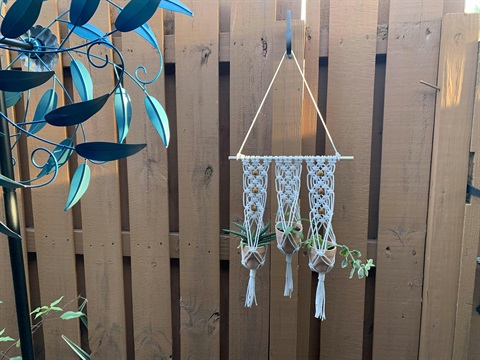 A macrame plant hanger hanging from a hook attached to a wooden fence