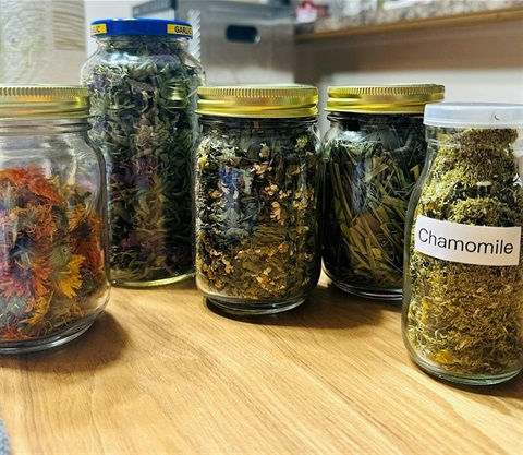 Glass jars containing tea leaves
