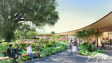 A concept rendering of a new visitor center at Harry P. Leu Gardens