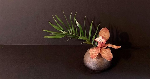 A pink Ikebana Chabana Japanese flower arrangement in a vase
