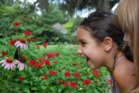 Summer camp girl looking at a butterfly.