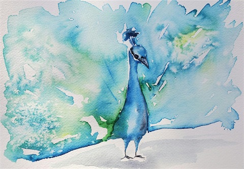 A watercolor painting of a peacock