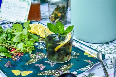 Mocktail in a short glass garnished with mint and lemon slices