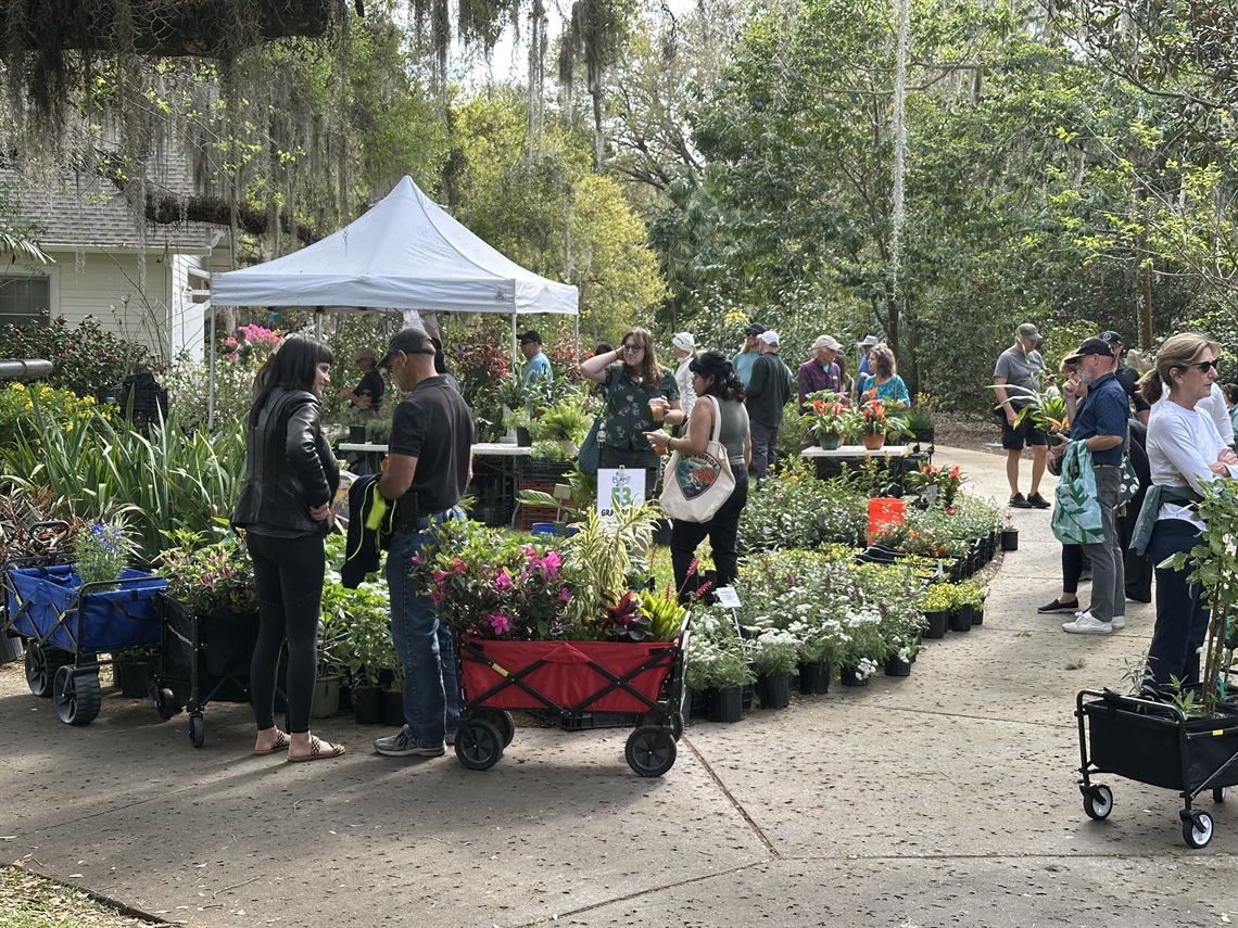 Guests with rolling carts shopping for plants at a white tent